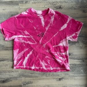 Pink Tie Dye Dino Crop Small